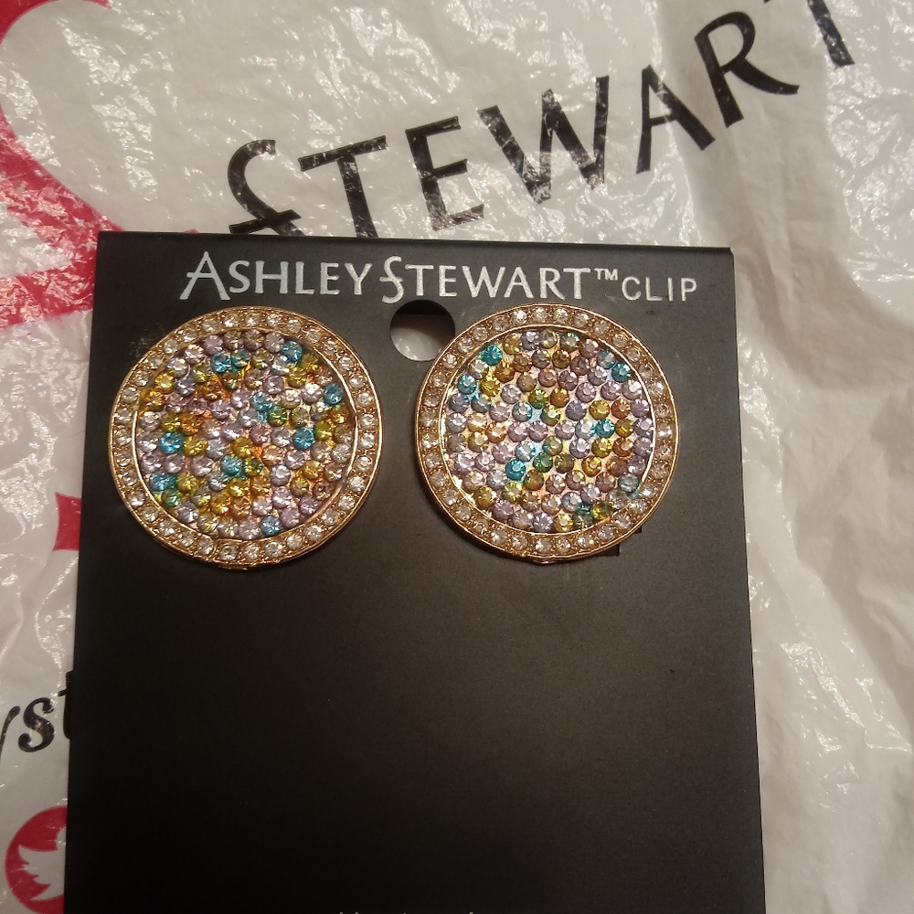 Ashley Stewart Clip Earrings